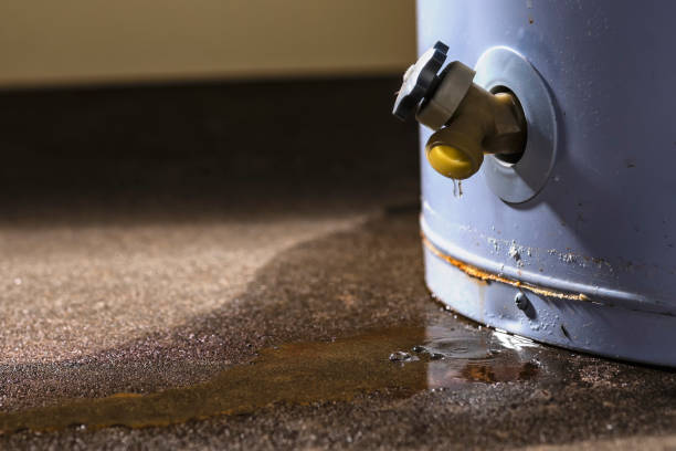 Best Carpet water damage restoration  in Painted Post, NY