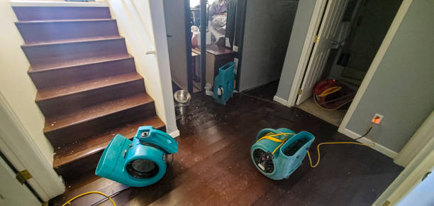 Best Sewage cleanup and water damage restoration  in Painted Post, NY