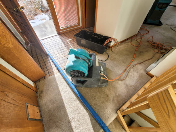 Best Flooded house restoration  in Painted Post, NY