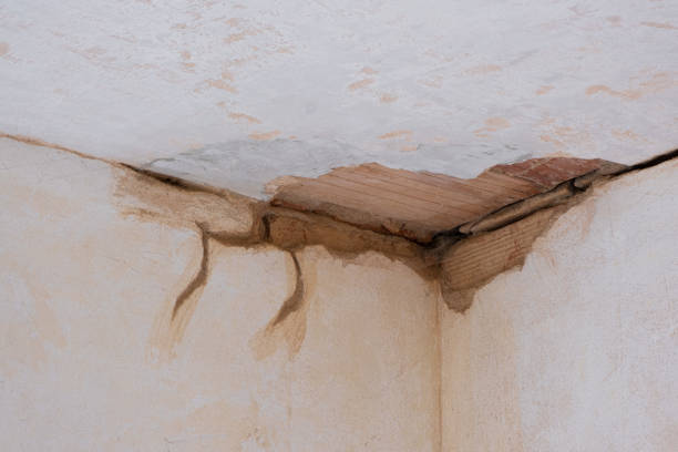 Best Emergency water damage restoration  in Painted Post, NY