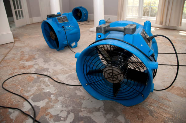 Best Fire Damage Restoration  in Painted Post, NY