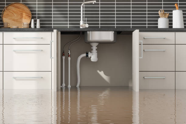 Best Fire Damage Restoration  in Painted Post, NY